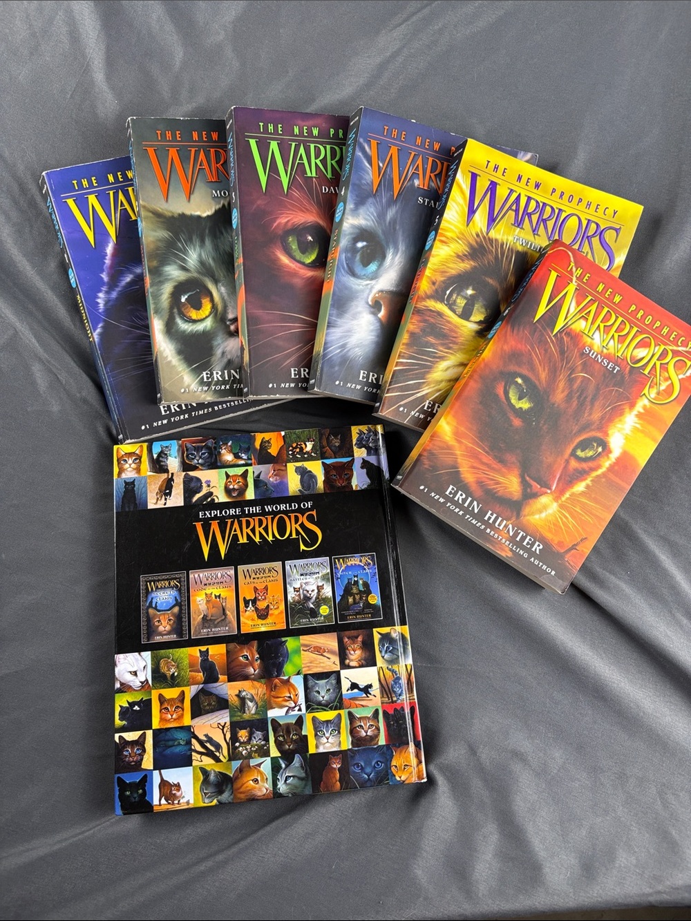 Warriors, Lot 6 Paperbacks and Ultimate guide The New Prophe Volumes 1-6